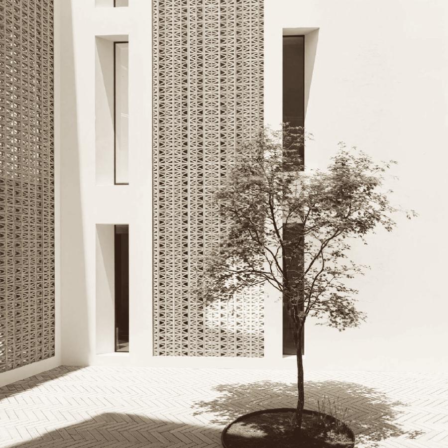 Courtyard with perforated facade and a single tree