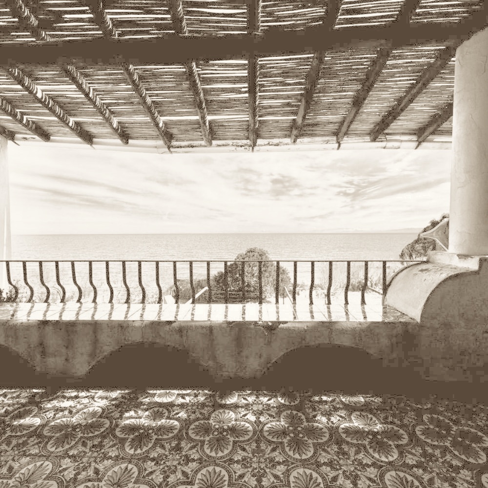 Commercial, Marketing and Visibility at TerraPrima